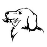 fetching-financial-freedom logo