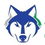 financial-wolves logo